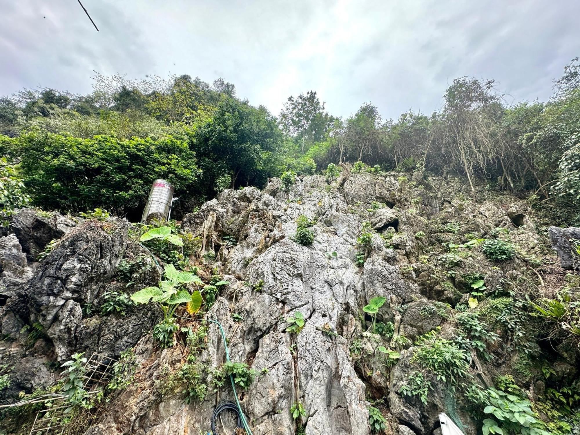 Strawberry House , Tour & Motorbikes Rentel Bed and Breakfast Ha Giang Εξωτερικό φωτογραφία